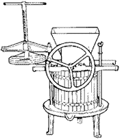 Olive Oil Making