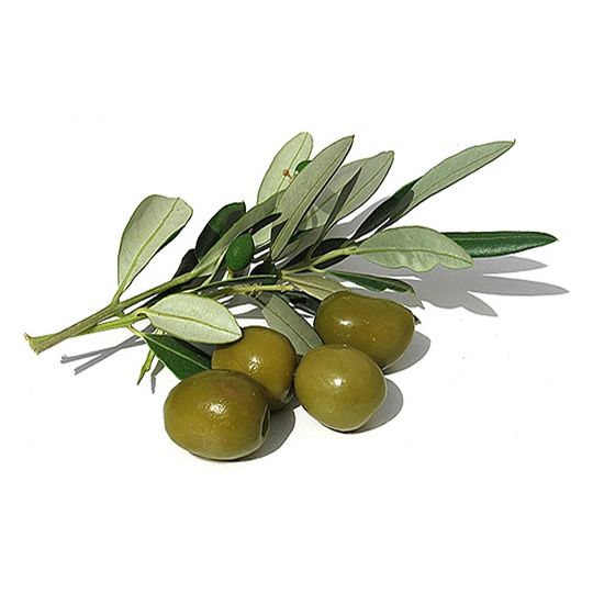 Types of olive oil